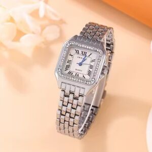 Panther Luxury Silver Women's Watch